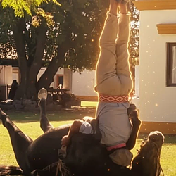 AHW / SOL
