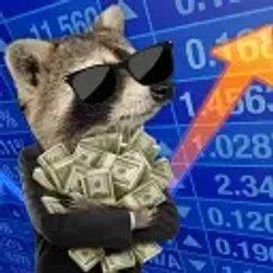 Rackcoon / SOL