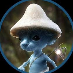 Shailushai / TON 0.25%
