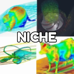 niche / SOL