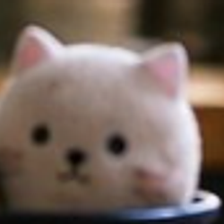 FourCat
