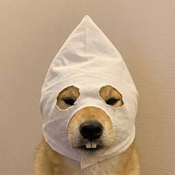 KKK