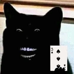 BlackCat