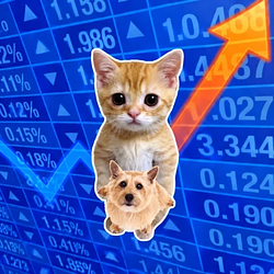 CAD