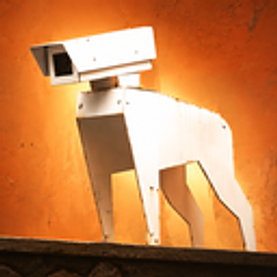 wDOG / SOL