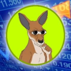Rooroo The Kangaroo