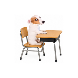 PUP