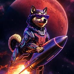 DOge / SOL