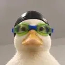 Nasduck / SOL