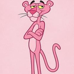 Pinky🩷 / SOL