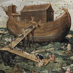 NOAH