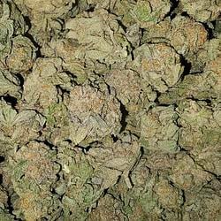 SMOKE logo