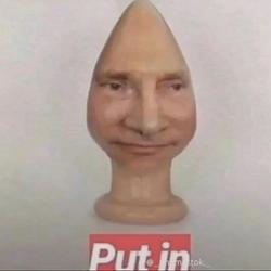 put in