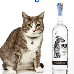 vodkat