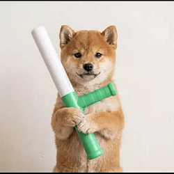 BATON