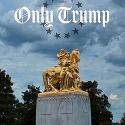 ONLY TRUMP / SOL