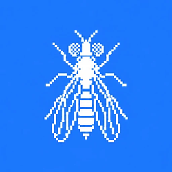 FLY