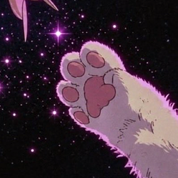 pinkcat