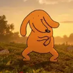 DOGGEY / SOL