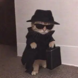 SPYCAT