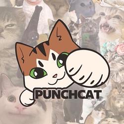 PUNCHCAT