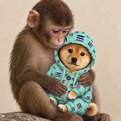 APEINU