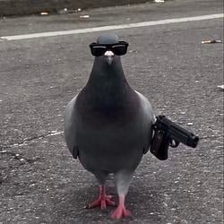 PoO