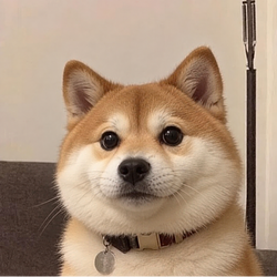 WOOF / SOL