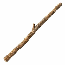 twig