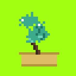 BONSAI