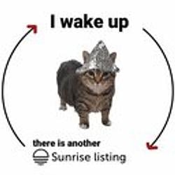 PSYOPCAT / SOL