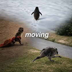 Moving / SOL