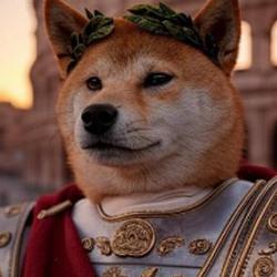 DOGEMAX / SOL