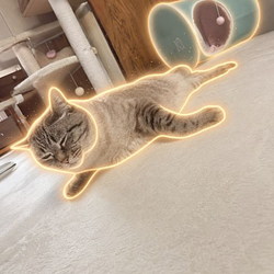 Fuu-chan / SOL