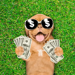RICH