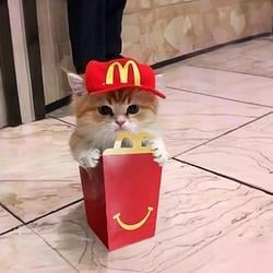 MCMILLI