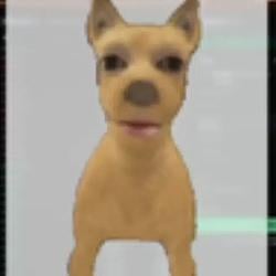 真狗