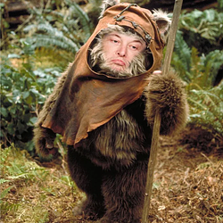 EWOK / SOL