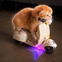 vespacat