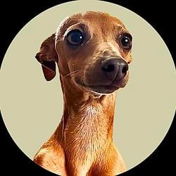TREVOR
