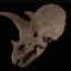 Deaton