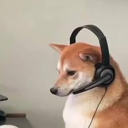 INU