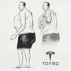 TORSO