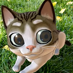 AURACAT