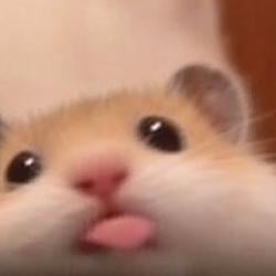 d: