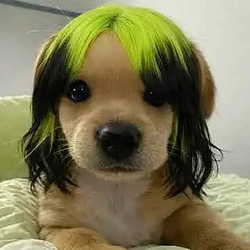 BILLIE / SOL