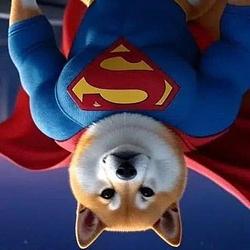 IS