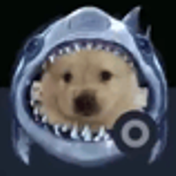 sharkdog / SOL