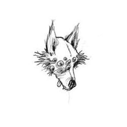 dogo / SOL