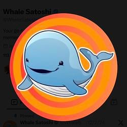 satoshi